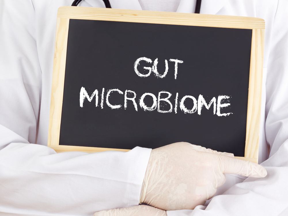 gut microbiome